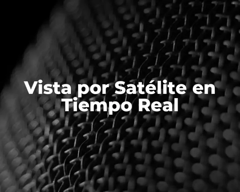Vista por Satélite en Tiempo Real