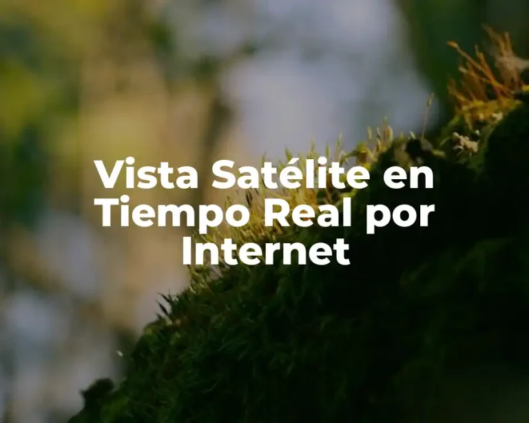 Vista Satélite en Tiempo Real por Internet