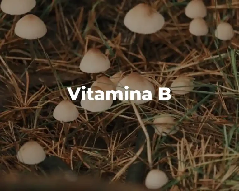 Vitamina B