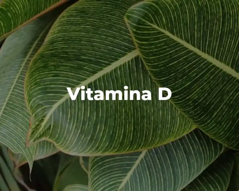 Vitamina D