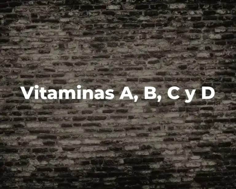 Vitaminas A, B, C y D