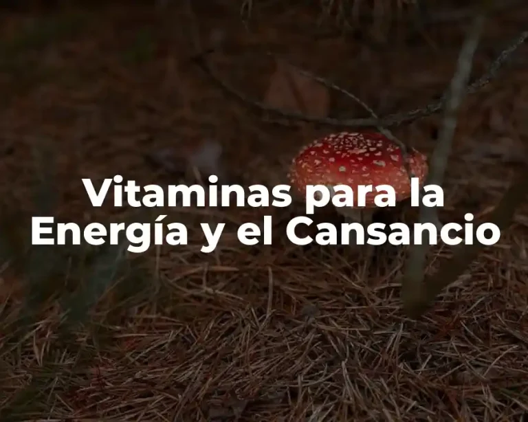Vitaminas para la Energía y el Cansancio