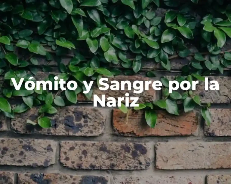 Vómito y Sangre por la Nariz