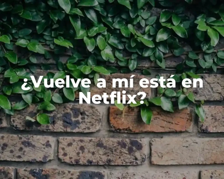 ¿Vuelve a mí está en Netflix?
