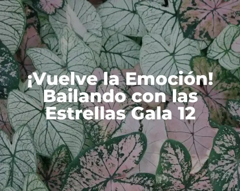 ¡Vuelve la Emoción! Bailando con las Estrellas Gala 12
