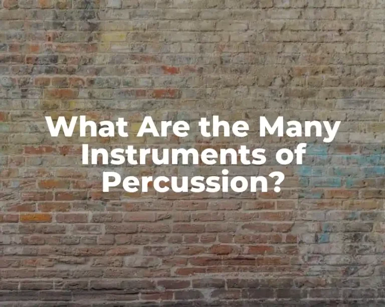 What Are the Many Instruments of Percussion?