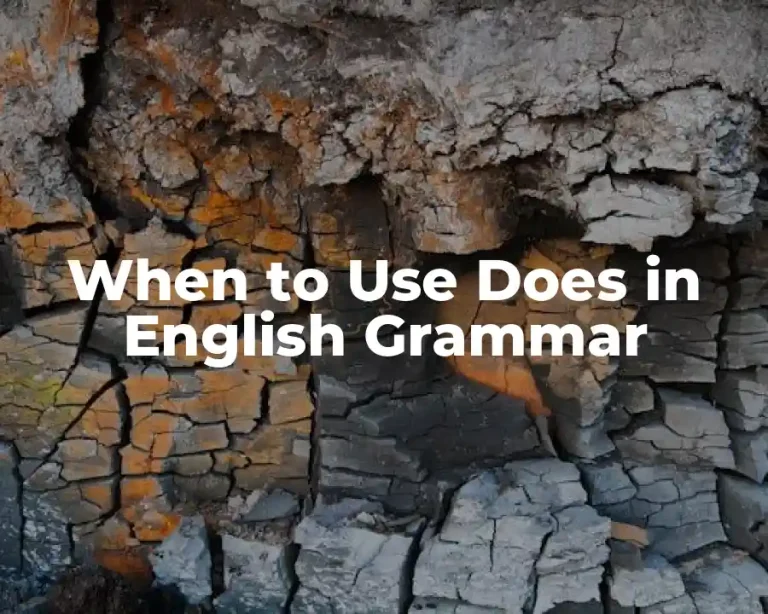 When to Use Does in English Grammar