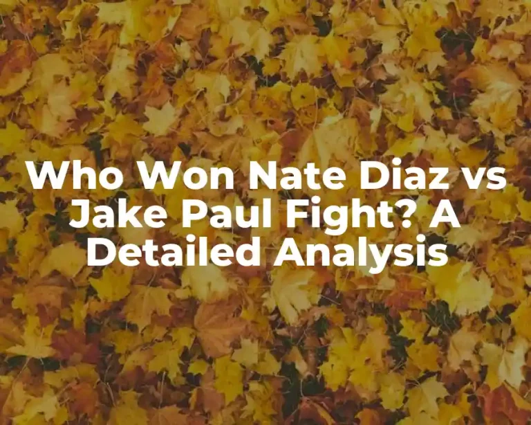 Who Won Nate Diaz vs Jake Paul Fight? A Detailed Analysis