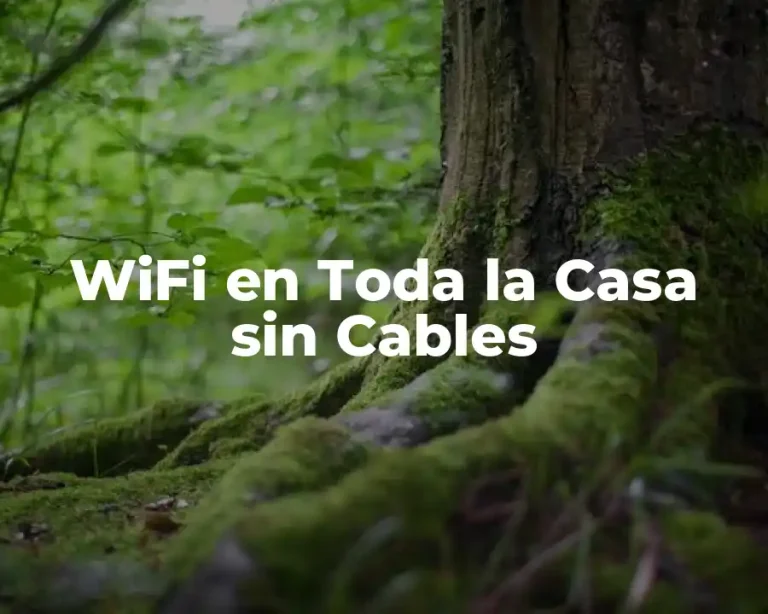 WiFi en Toda la Casa sin Cables
