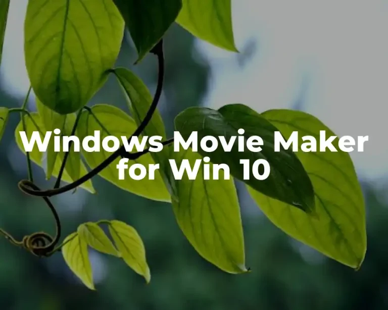 Windows Movie Maker for Win 10