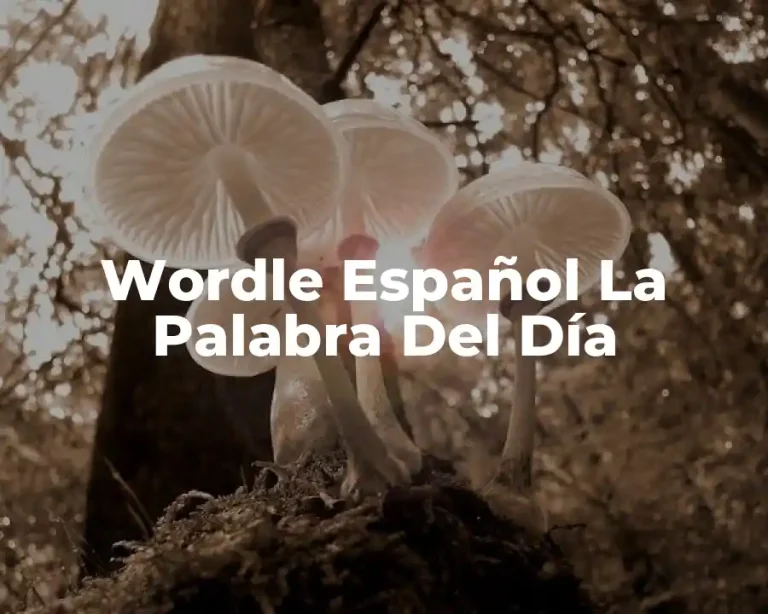 Wordle Español La Palabra Del Día
