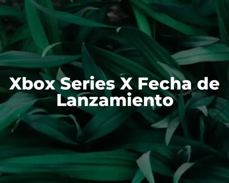 Xbox Series X Fecha de Lanzamiento
