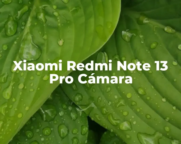 Xiaomi Redmi Note 13 Pro Cámara