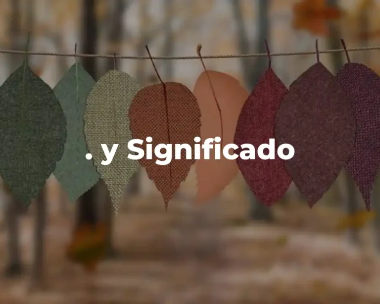 . y Significado