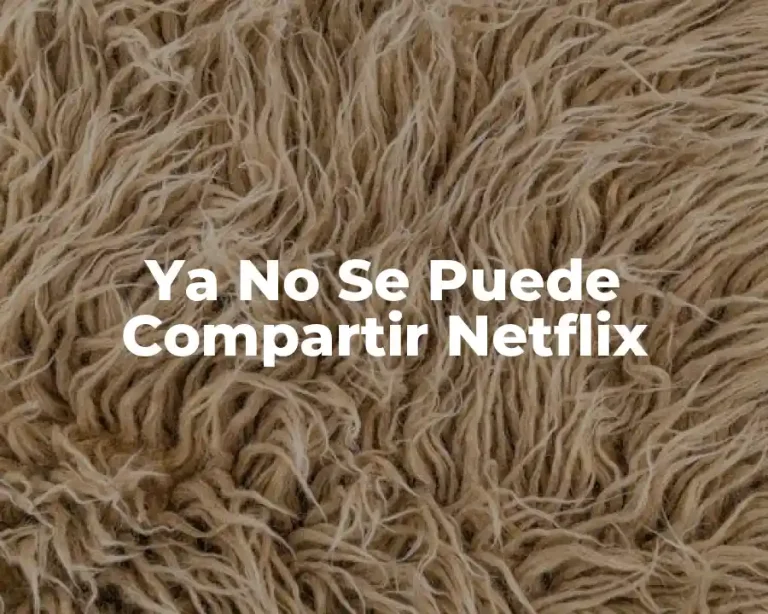 Ya No Se Puede Compartir Netflix