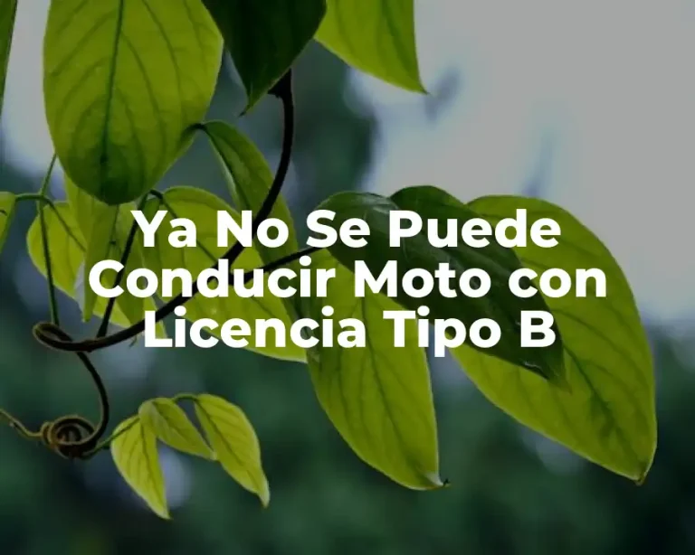 Ya No Se Puede Conducir Moto con Licencia Tipo B