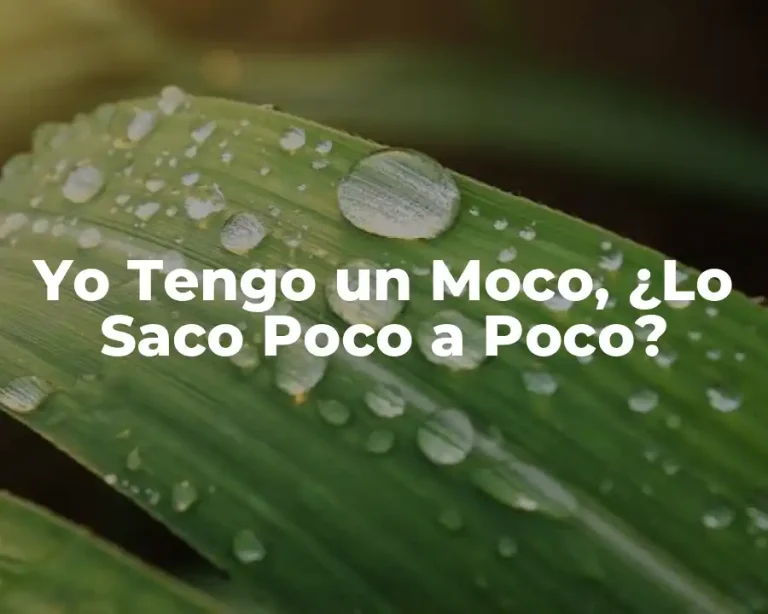 Yo Tengo un Moco, ¿Lo Saco Poco a Poco?