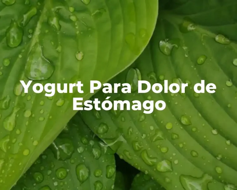 Yogurt Para Dolor de Estómago