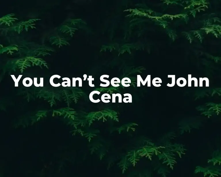 You Can’t See Me John Cena