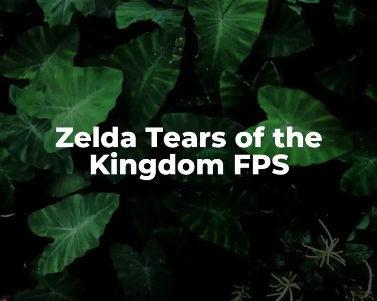 Zelda Tears of the Kingdom FPS