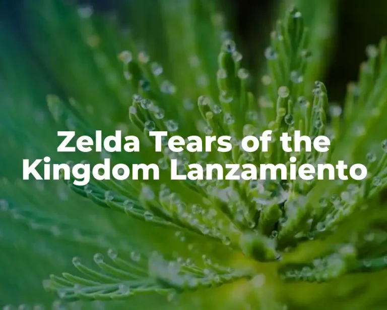 Zelda Tears of the Kingdom Lanzamiento