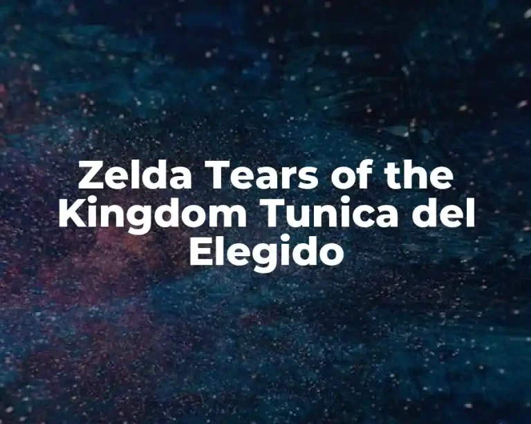 Zelda Tears of the Kingdom Tunica del Elegido
