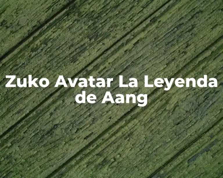 Zuko Avatar La Leyenda de Aang